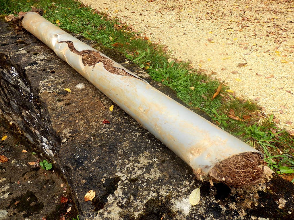 Drain Cleaning in Hillsdale.