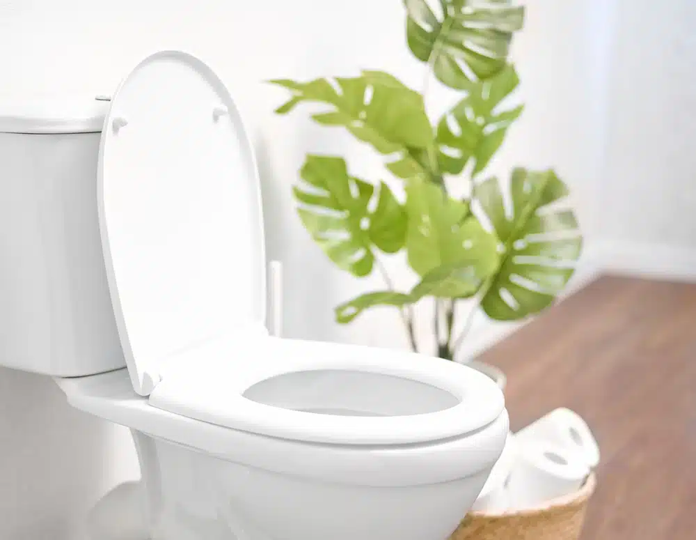 Toilet in residential home in Hillsdale, NJ.